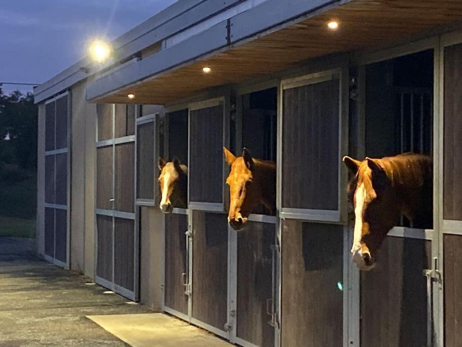 Logement Entier De Charme, Gite Equestre Gers Flamarens Экстерьер фото