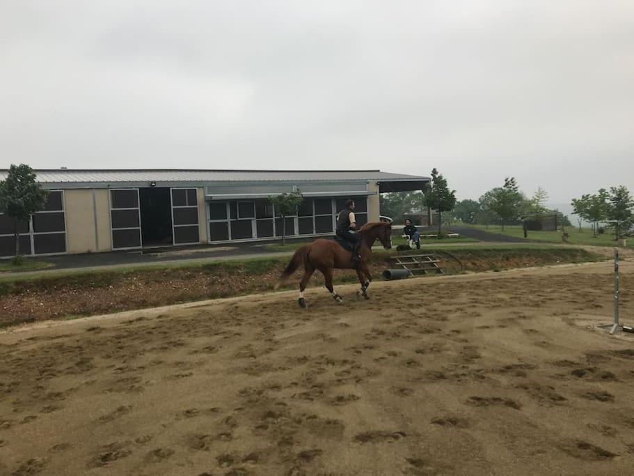 Logement Entier De Charme, Gite Equestre Gers Flamarens Экстерьер фото